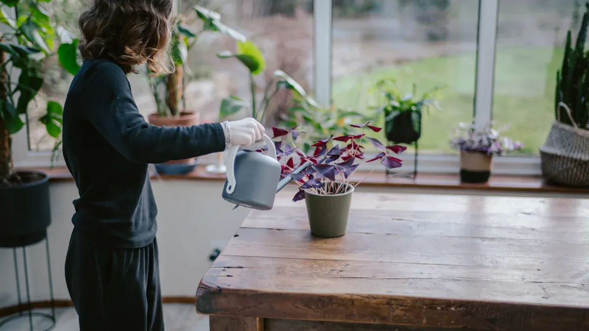 Choosing Plants for Your Garden