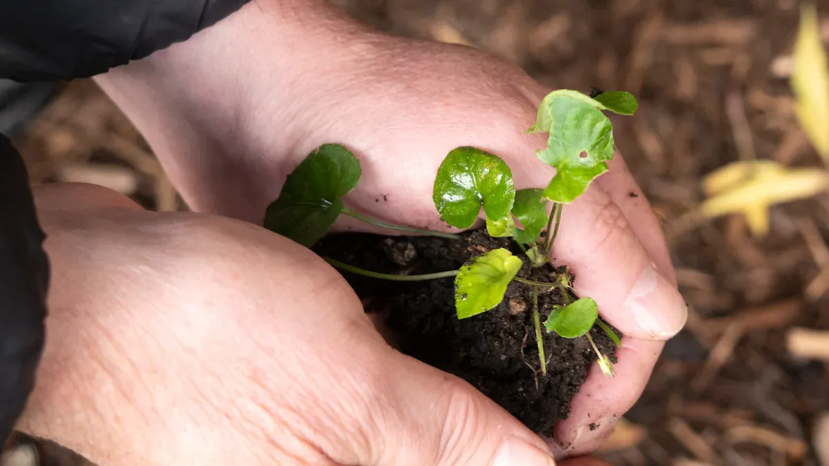 Spring Gardening Calendar