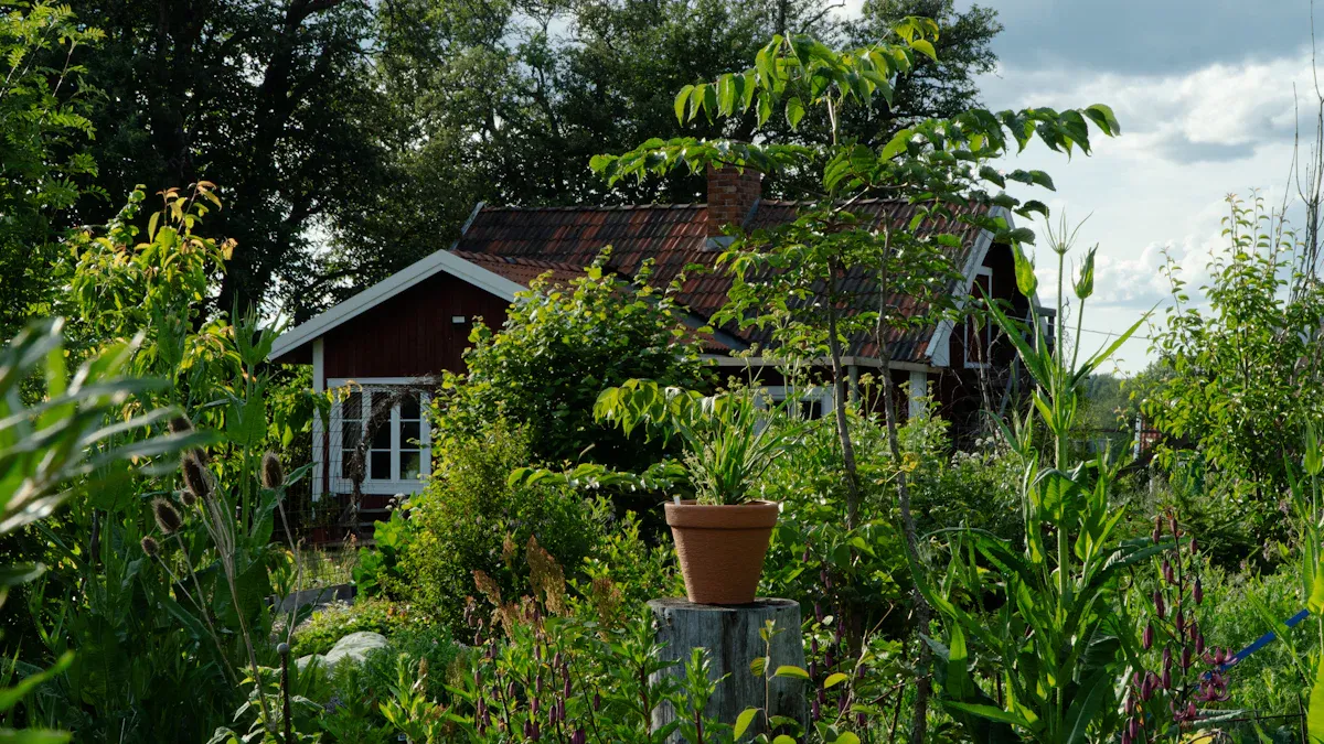 Vegetable Garden Layout