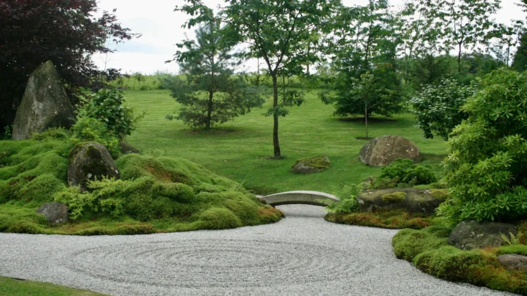 Hardscape vs Softscape: Key Differences