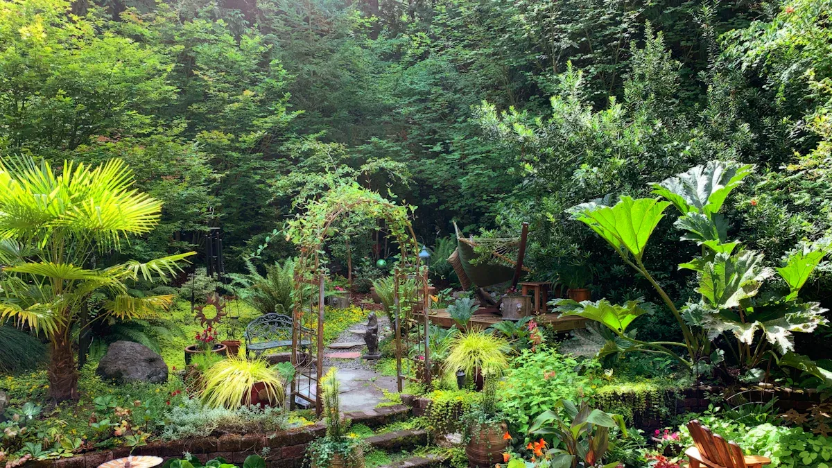 Creating a Rain Garden