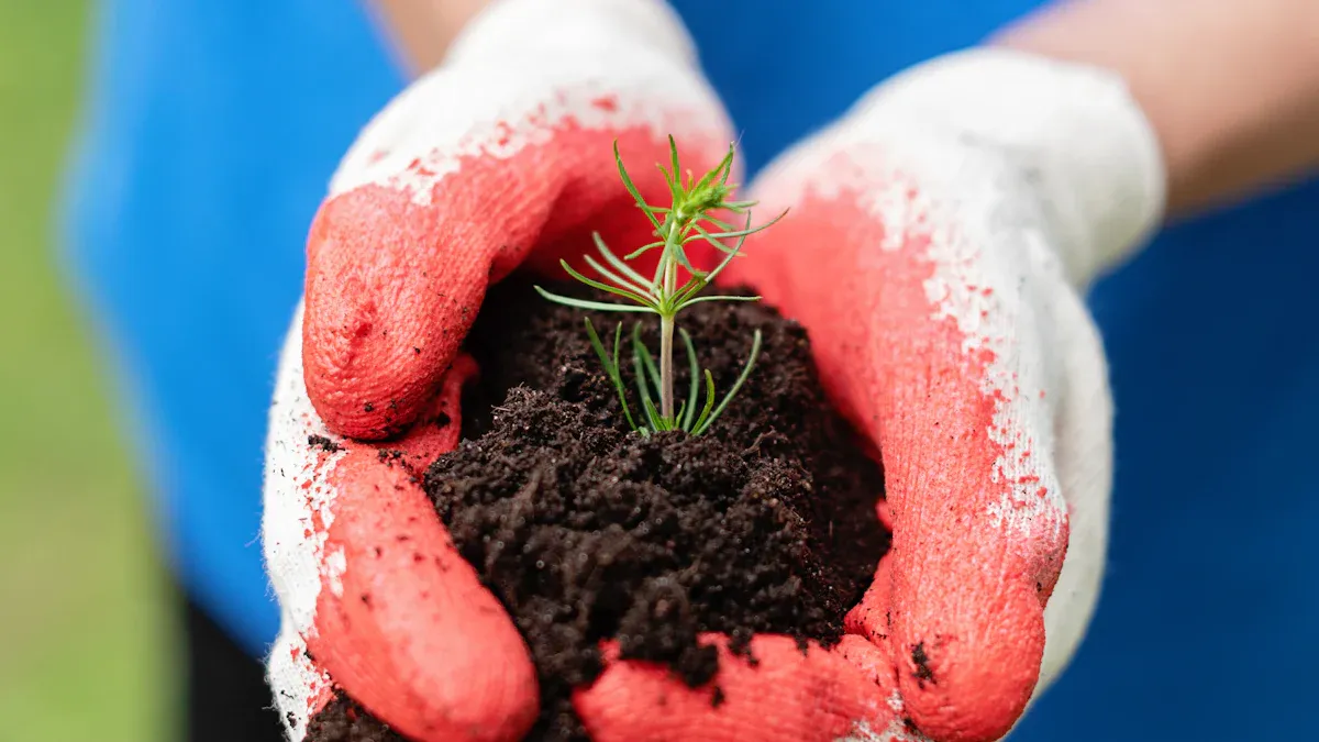 Best Soil Types for Vegetable Gardens Explained