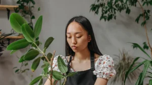 Indoor Plant Fertilizing Guide for Beginners