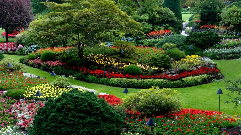 Beginner’s Guide to Landscaping Your Yard