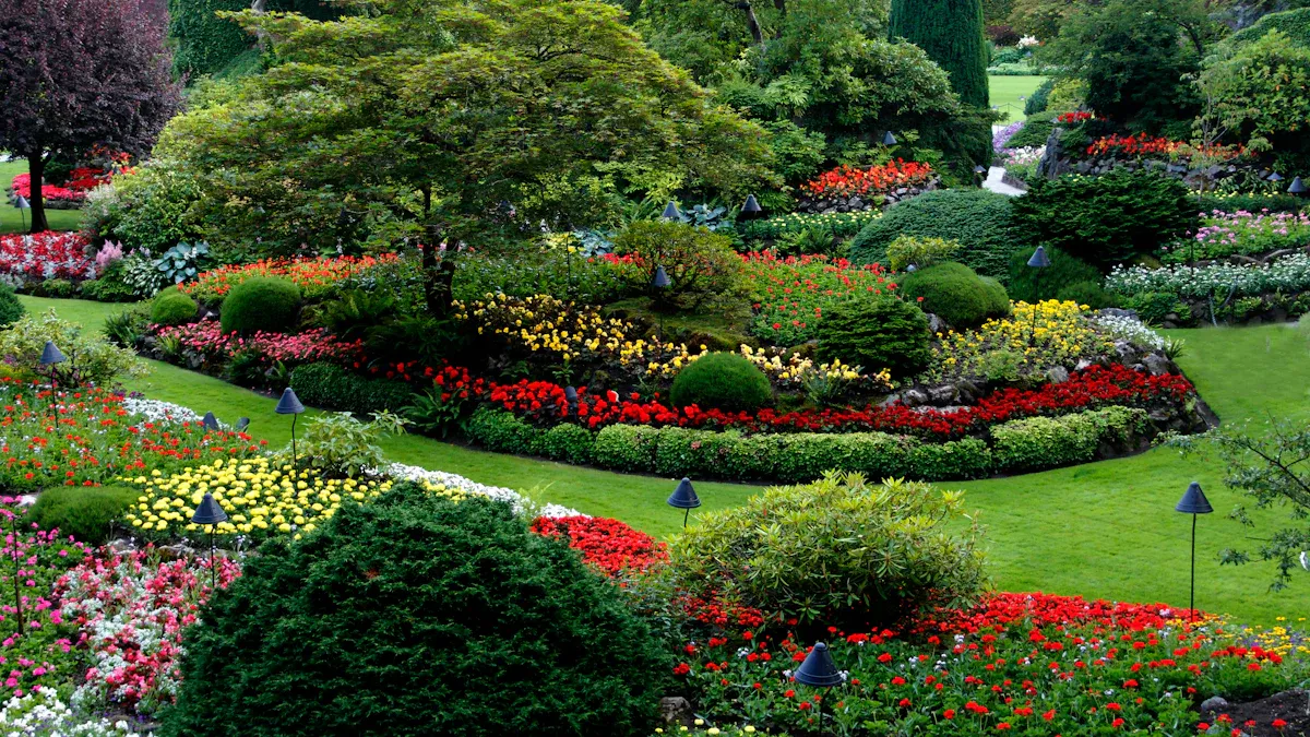 Beginner’s Guide to Landscaping Your Yard