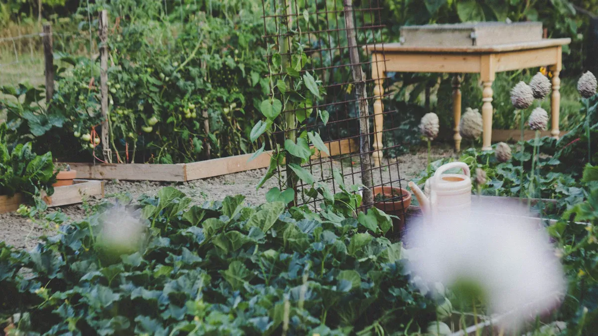 Planning Your Backyard Garden