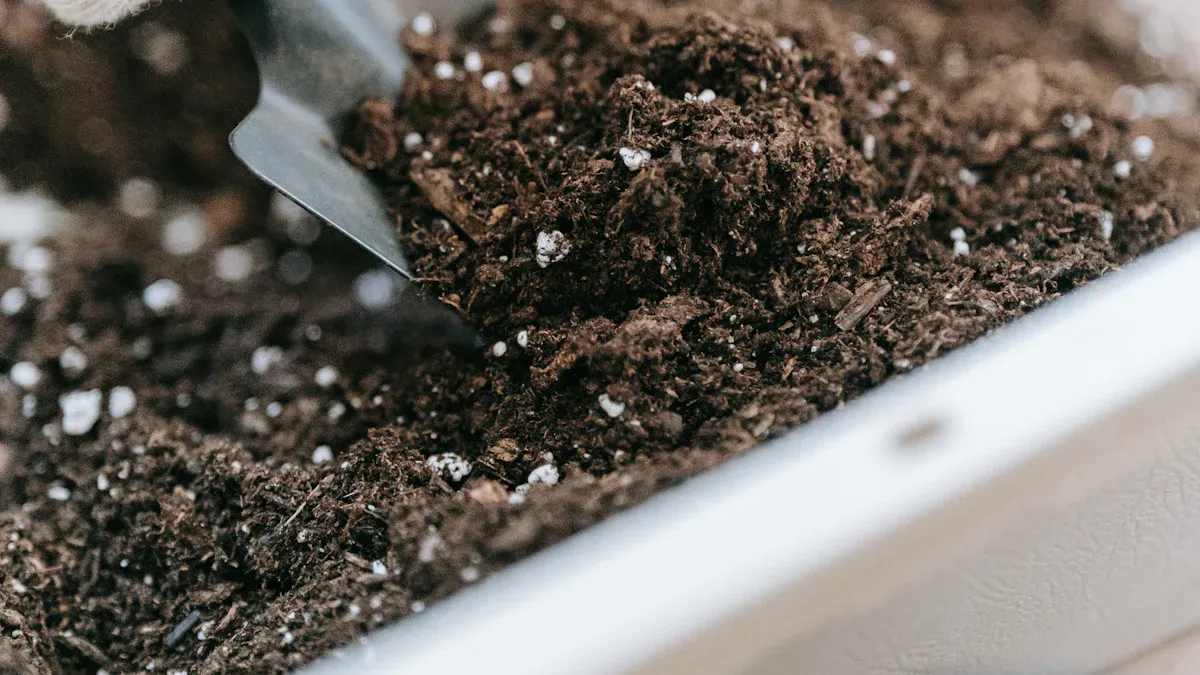 Best Soil for Vegetable Gardens: Ideal Characteristics