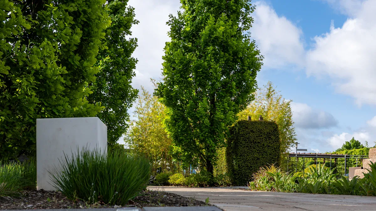 Materials for Pathways