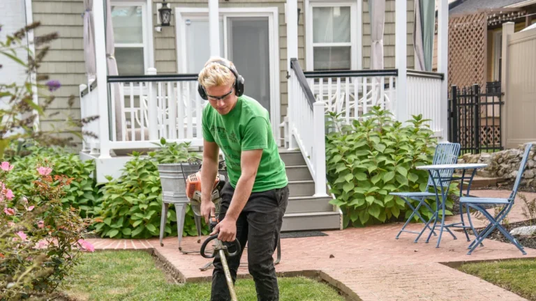 Front Yard Landscaping Ideas on a Budget