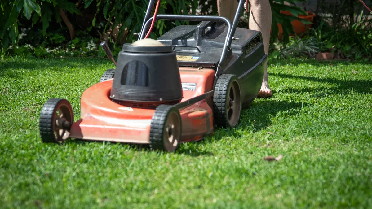 Seasonal Lawn Care Tips for Healthy Grass
