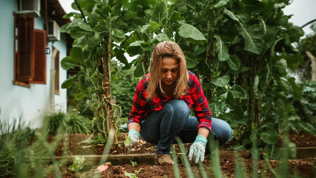 Soil Tips for Organic Gardening