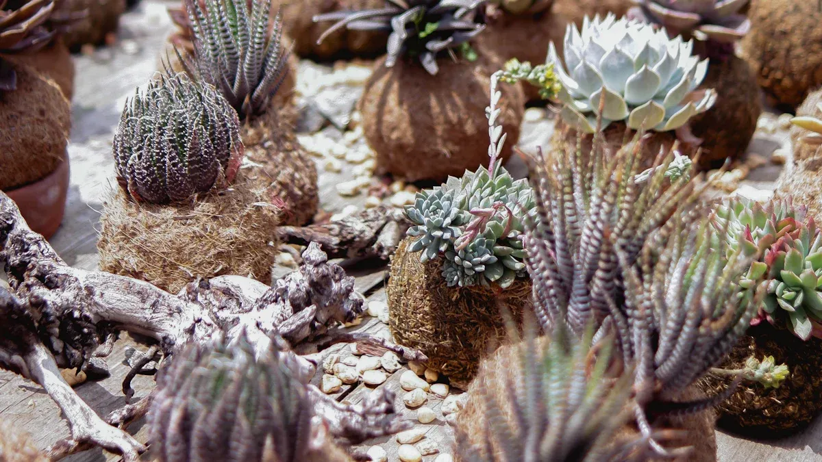 Plant Selection for Low Maintenance Landscape