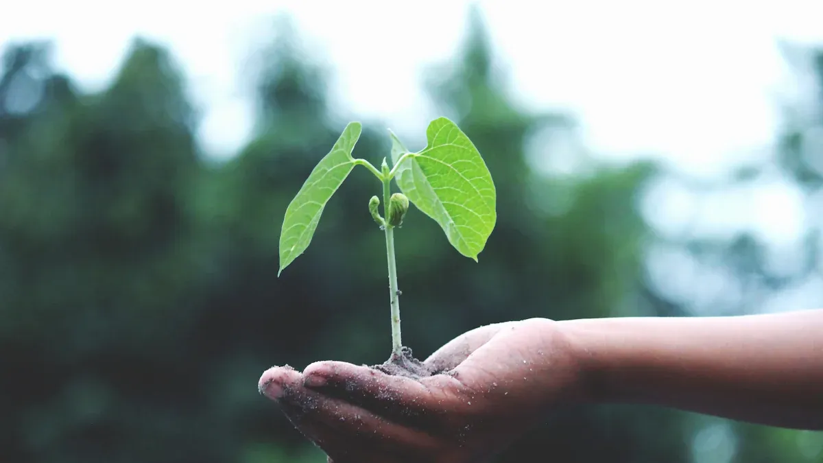 Choosing the Right Plants for Your Climate