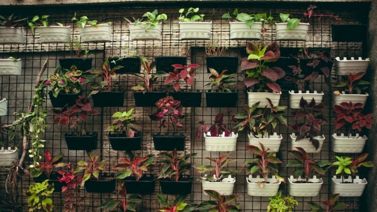 How to Grow Vegetables in Small Spaces