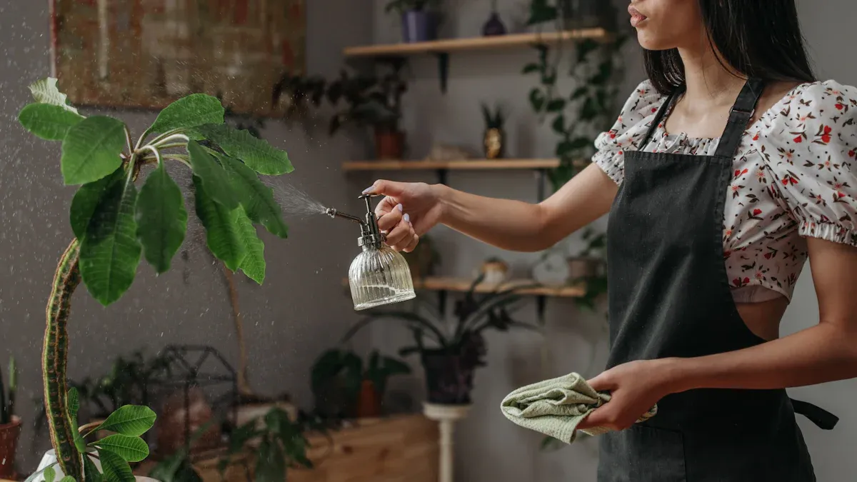 Watering for Indoor Plant Care