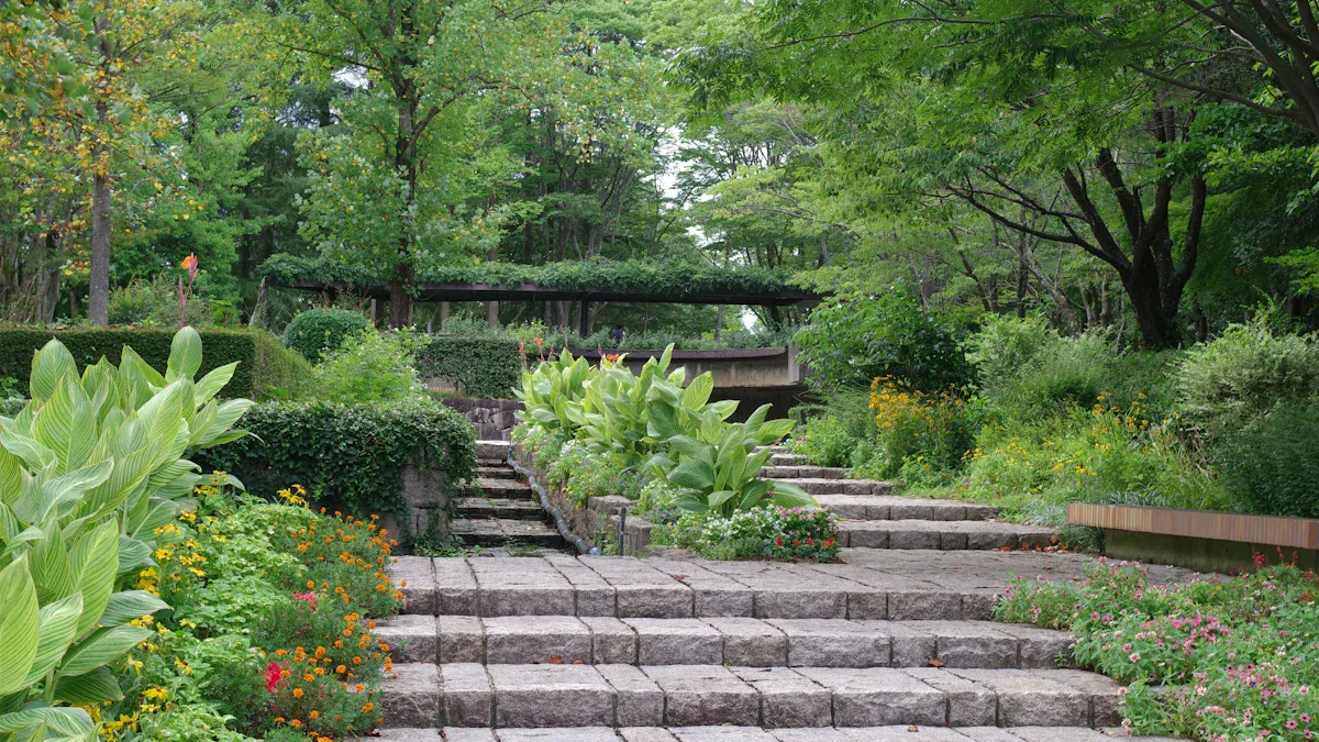 Incorporating Native Plants