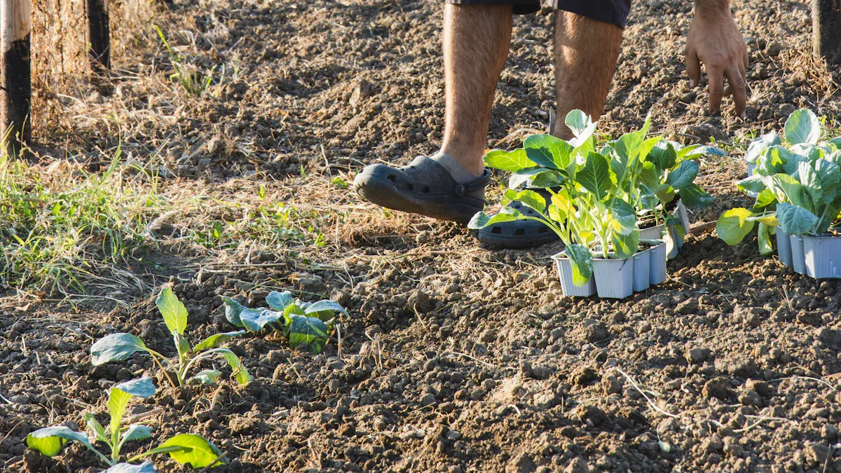 Organic Gardening: 18 Tips for Healthy Plants