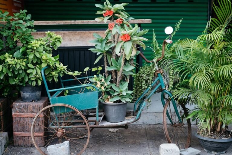 budget garden transformation hacks