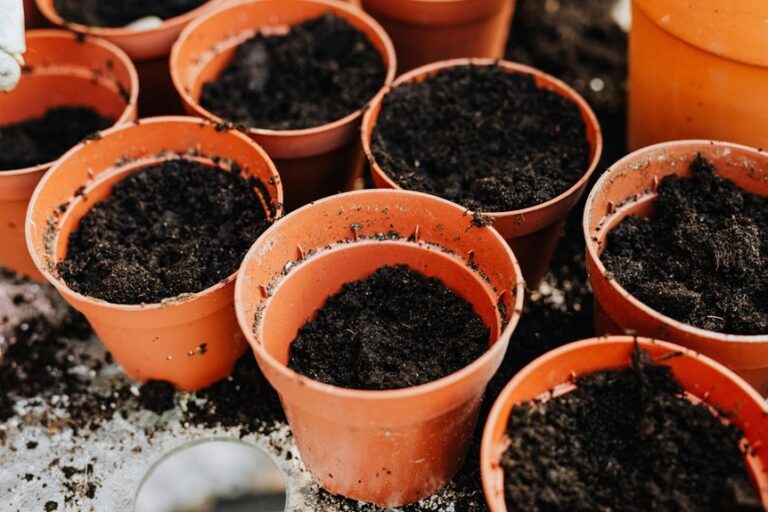container gardening space saving methods