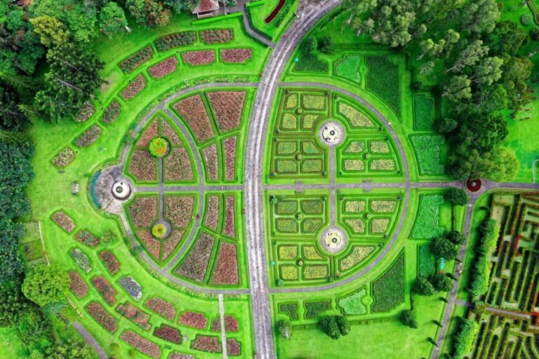 garden border layout ideas