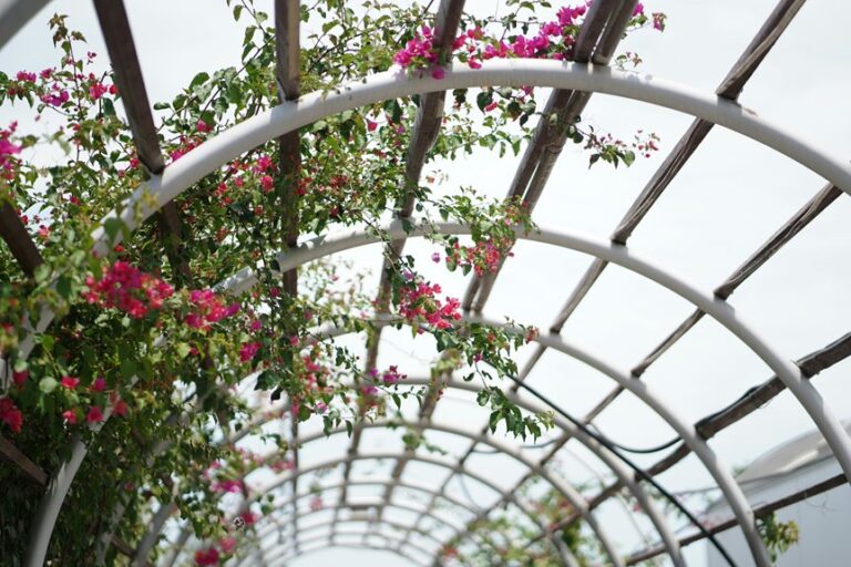 garden entry arch designs