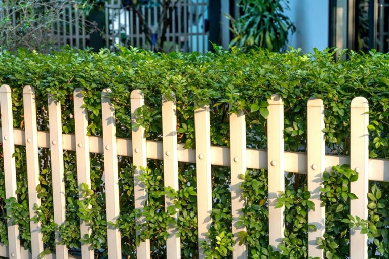 garden fence design ideas