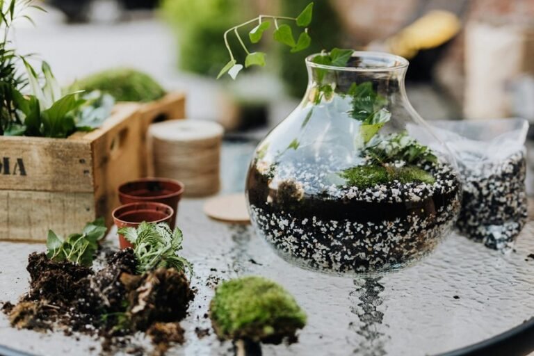 garden ideas for growth
