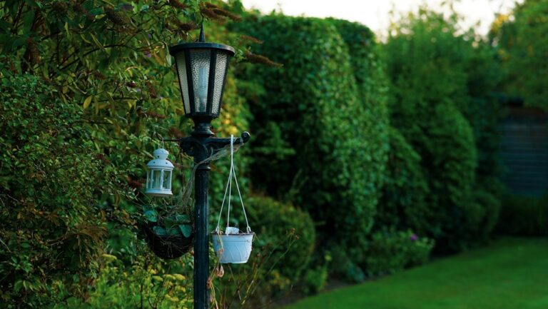 garden lighting setups visibility
