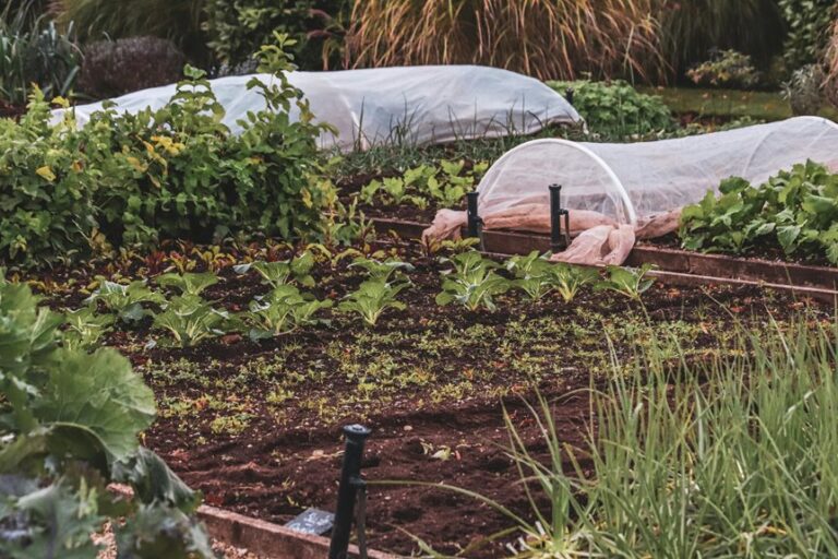 raised bed gardening ideas