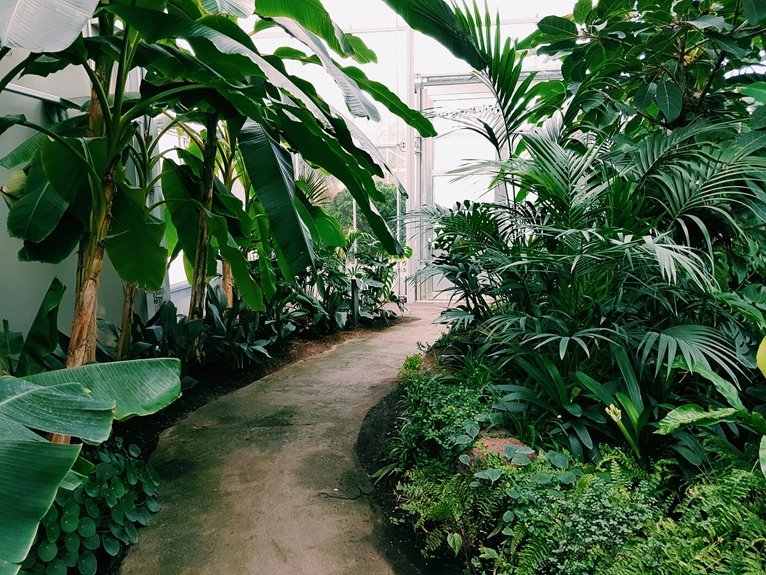 tropical garden layout ideas