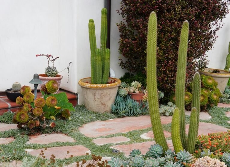 vertical garden space solutions